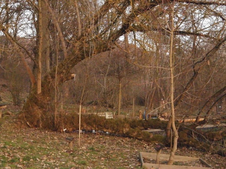 Die Natur vor unserer T&uuml;r