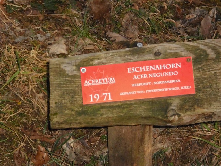 Die Natur vor unserer T&uuml;r