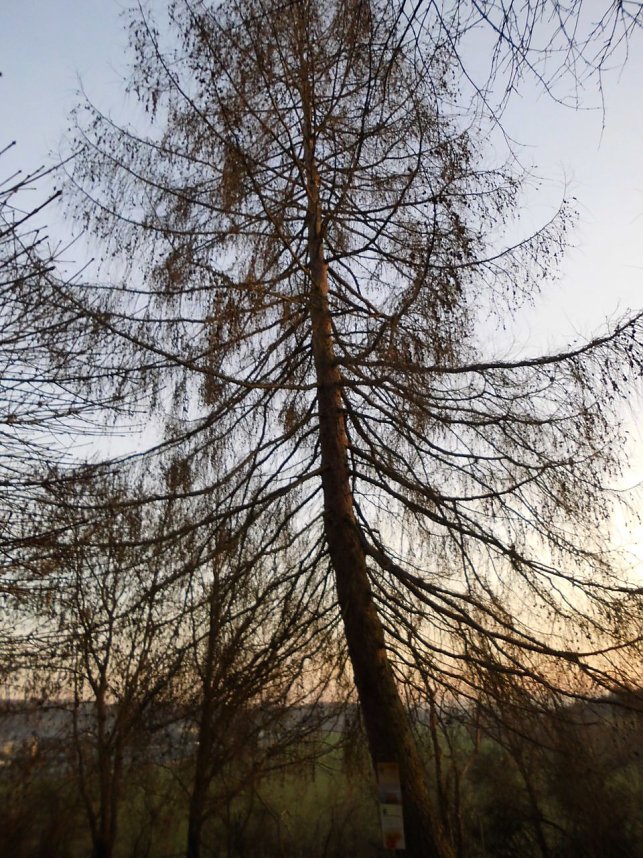 Die Natur vor unserer T&uuml;r
