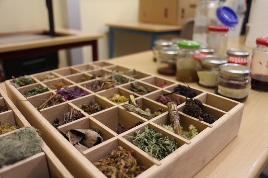 Lange Nacht der Wissenschaften am Herder Gymnasium