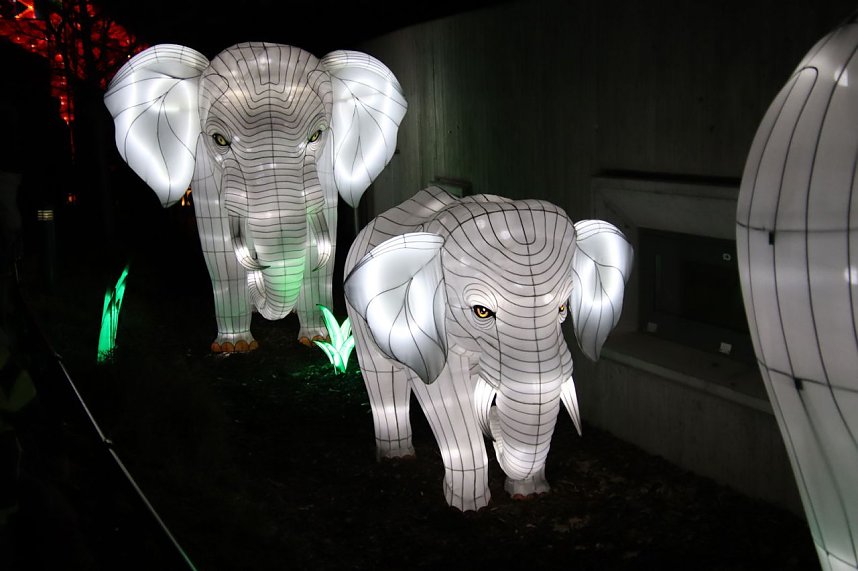 Lichtershow im Bergzoo Halle