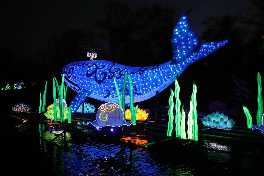 Lichtershow im Bergzoo Halle