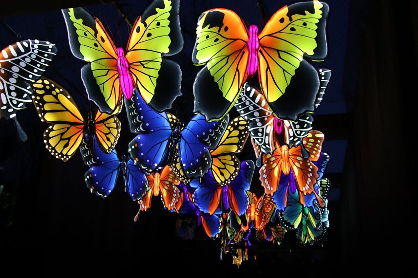 Lichtershow im Bergzoo Halle