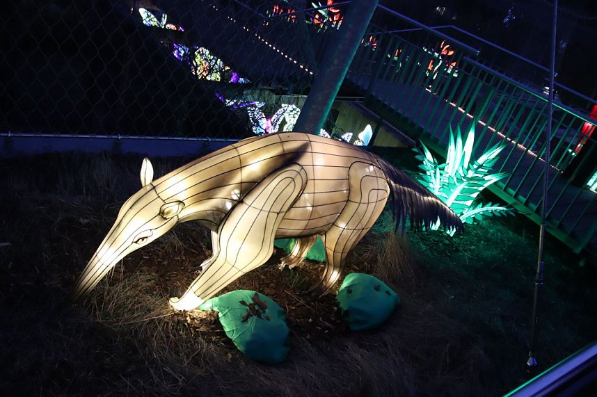 Lichtershow im Bergzoo Halle