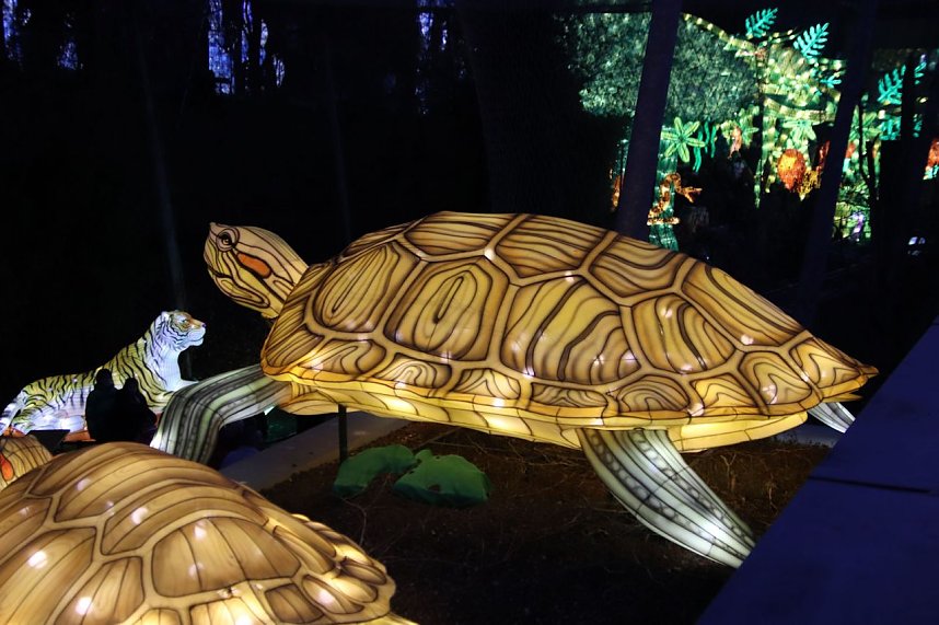 Lichtershow im Bergzoo Halle