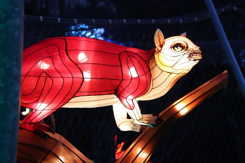 Lichtershow im Bergzoo Halle