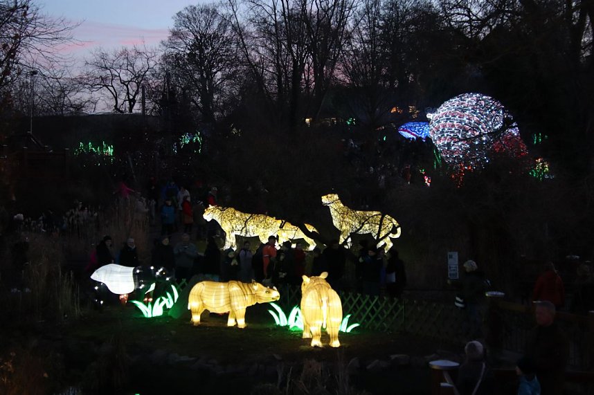Lichtershow im Bergzoo Halle