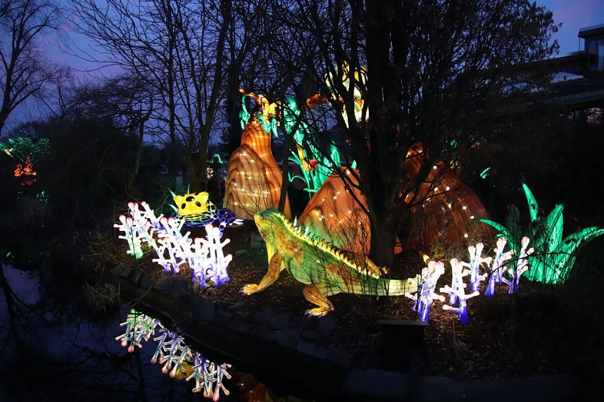 Lichtershow im Bergzoo Halle