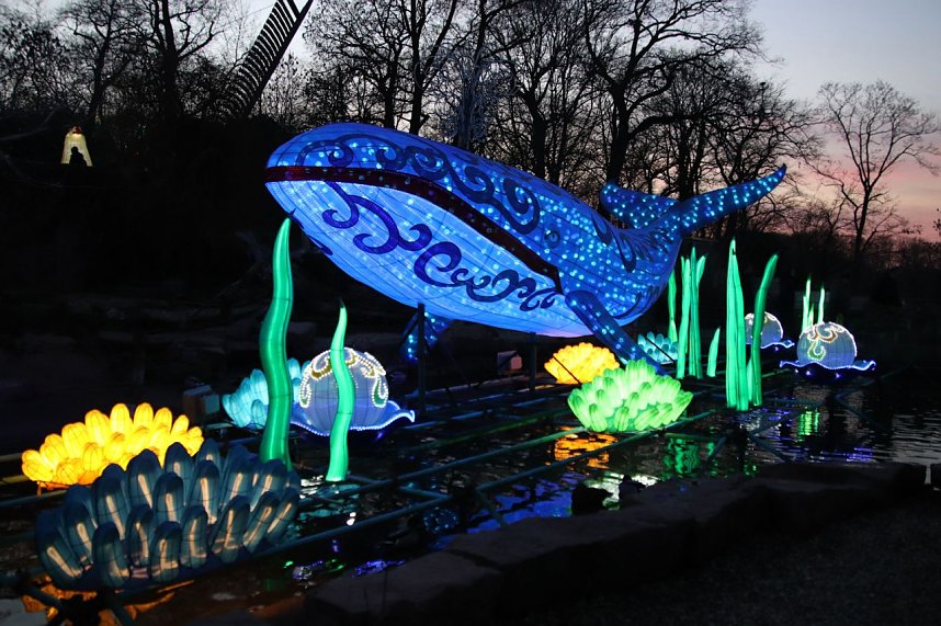 Lichtershow im Bergzoo Halle