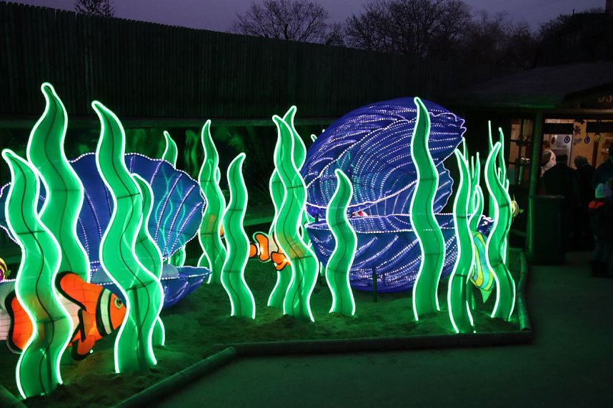 Lichtershow im Bergzoo Halle