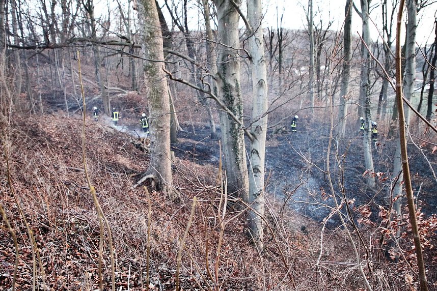 Fl&auml;chenbrand bei Gro&szlig;lohra
