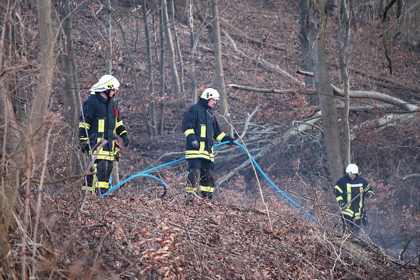 Fl&auml;chenbrand bei Gro&szlig;lohra