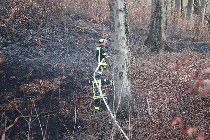 Fl&auml;chenbrand bei Gro&szlig;lohra