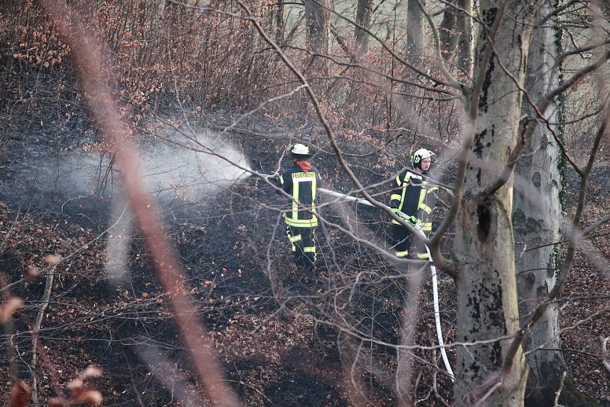 Fl&auml;chenbrand bei Gro&szlig;lohra