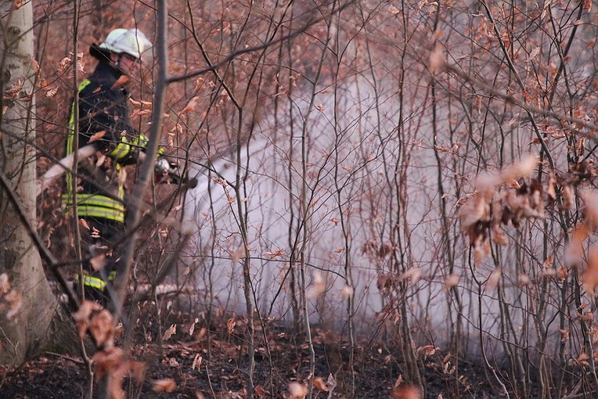Fl&auml;chenbrand bei Gro&szlig;lohra