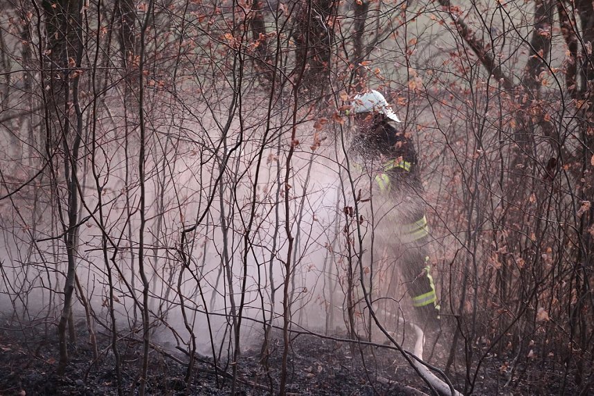 Fl&auml;chenbrand bei Gro&szlig;lohra