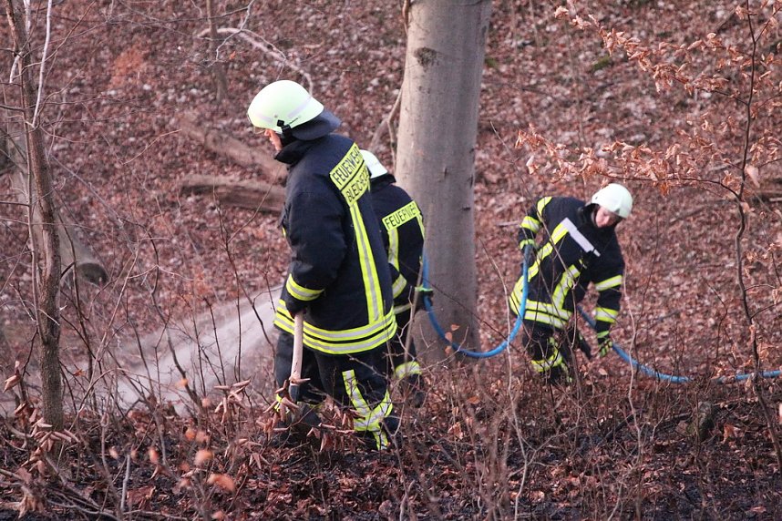 Fl&auml;chenbrand bei Gro&szlig;lohra