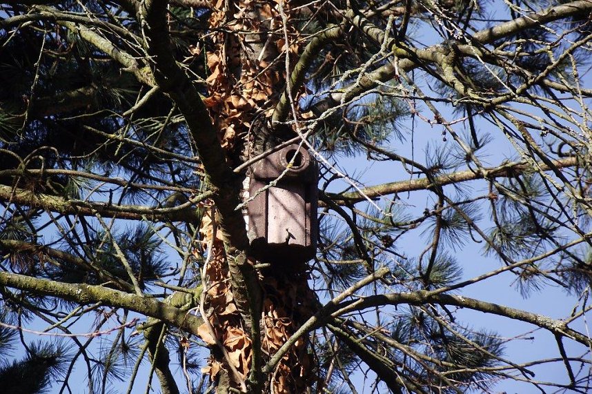 Rainer Peix erwartet zahlreiche Sommerg&auml;ste aus fernen L&auml;ndern
