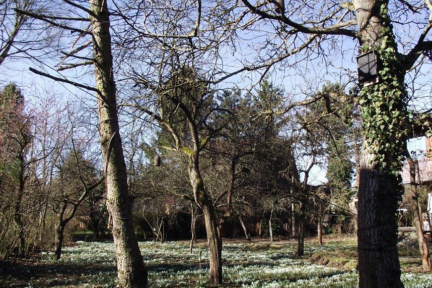 Rainer Peix erwartet zahlreiche Sommerg&auml;ste aus fernen L&auml;ndern