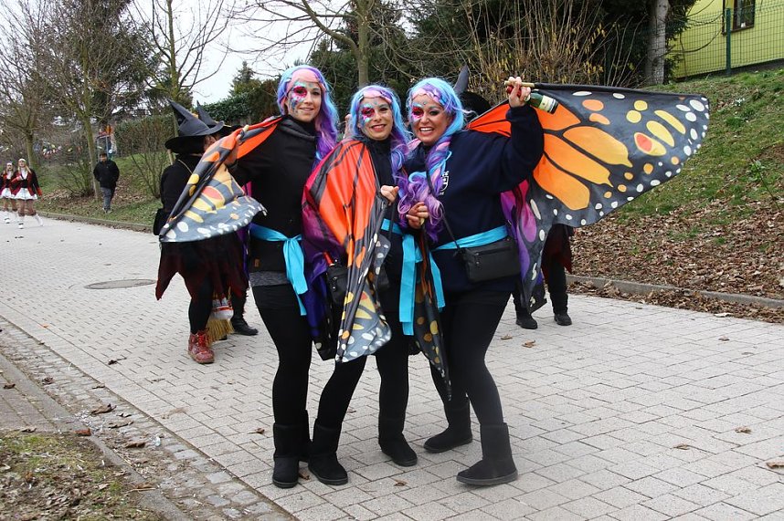 Festumzug zum 50. Jubil&auml;um in Wollersleben