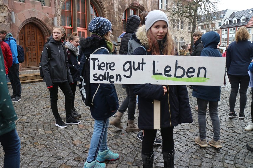 Fridays for Future Demonstration in Nordhausen
