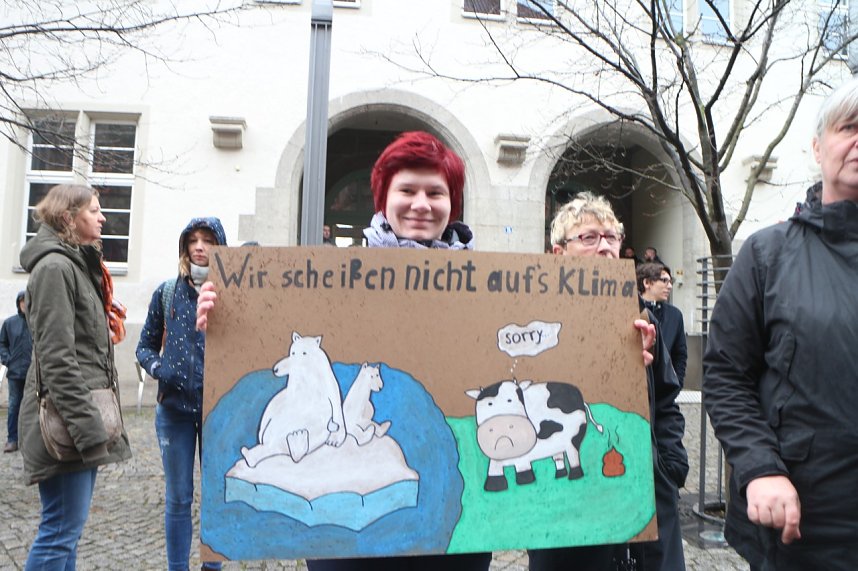 Fridays for Future Demonstration in Nordhausen