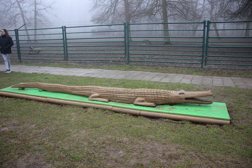 Mountainbike-Ergebnisse vom 29. Possenlauf