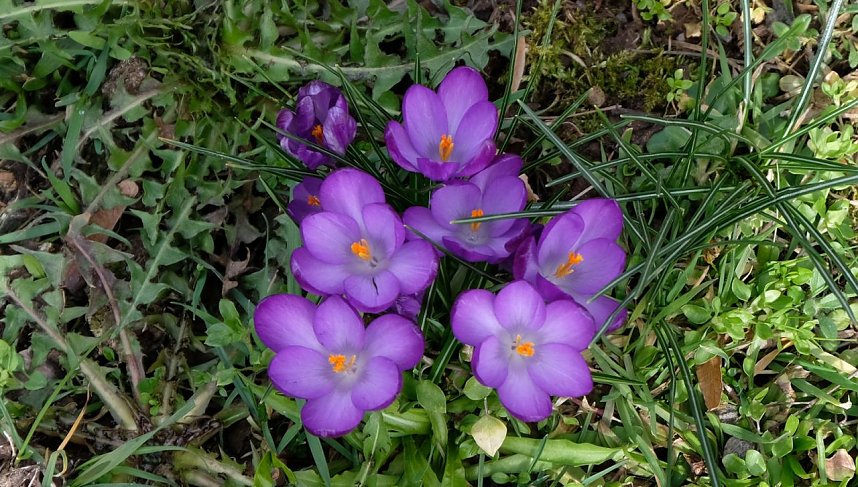 Der Sieger steht fest.