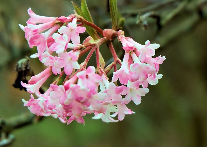 Der Sieger steht fest.