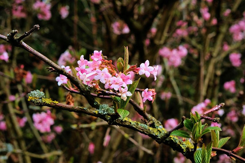 Der Sieger steht fest.