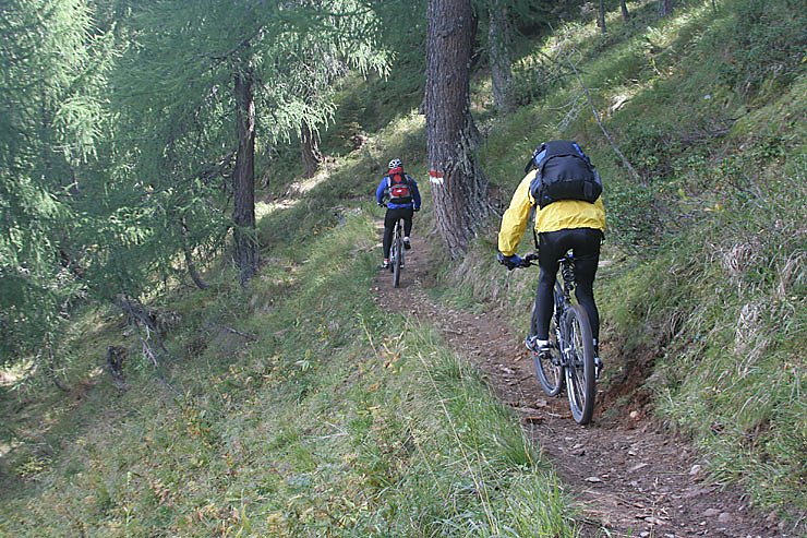 Etwas durch den Wald.