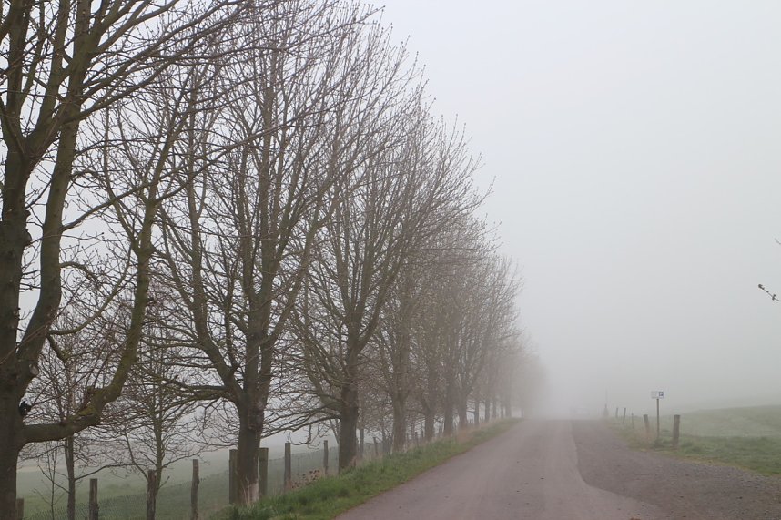 Fr&uuml;hjahrswanderung bei Auleben