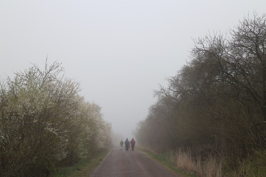 Fr&uuml;hjahrswanderung bei Auleben