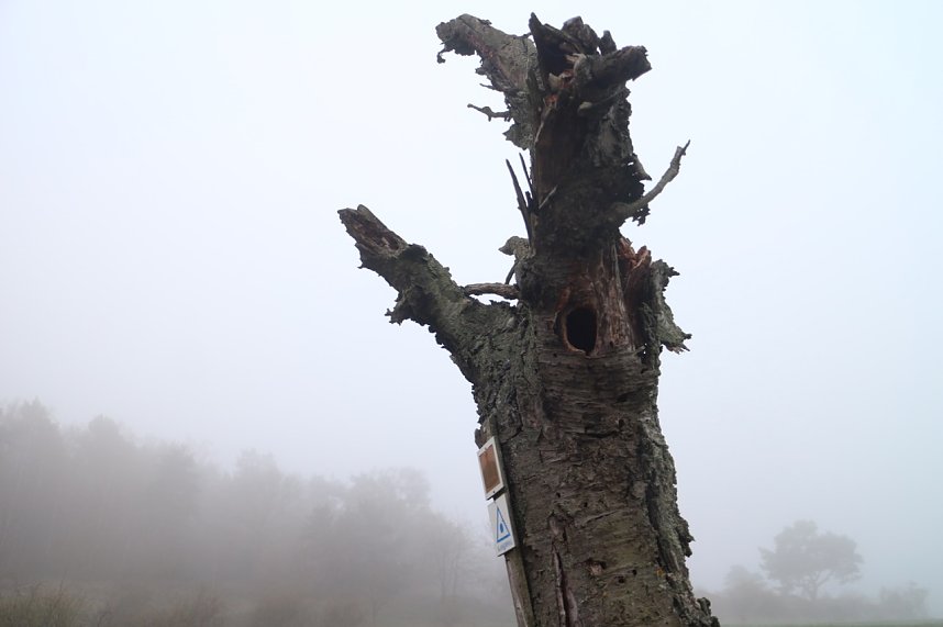 Fr&uuml;hjahrswanderung bei Auleben