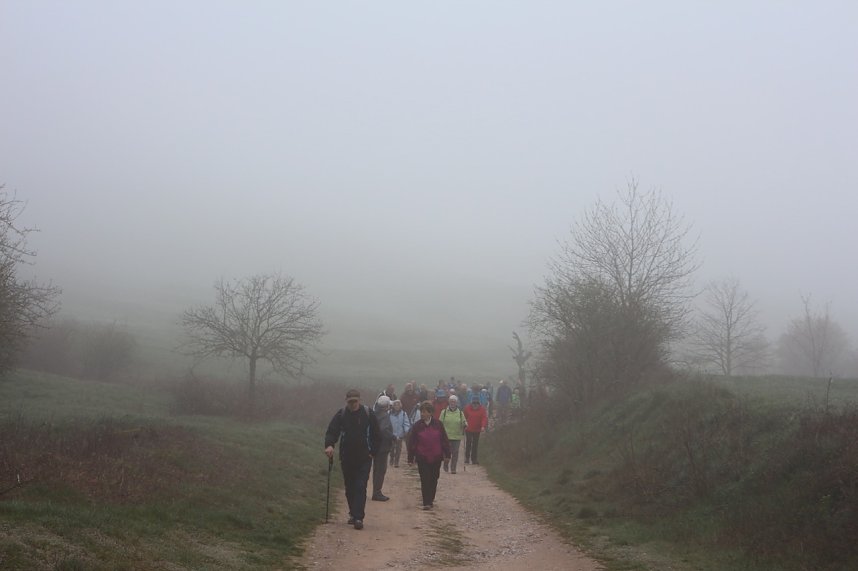 Fr&uuml;hjahrswanderung bei Auleben