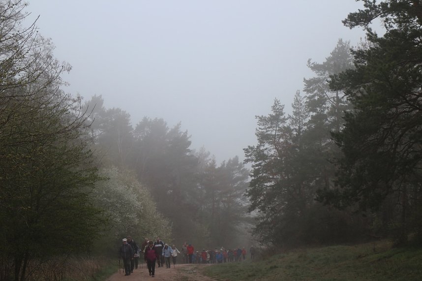 Fr&uuml;hjahrswanderung bei Auleben