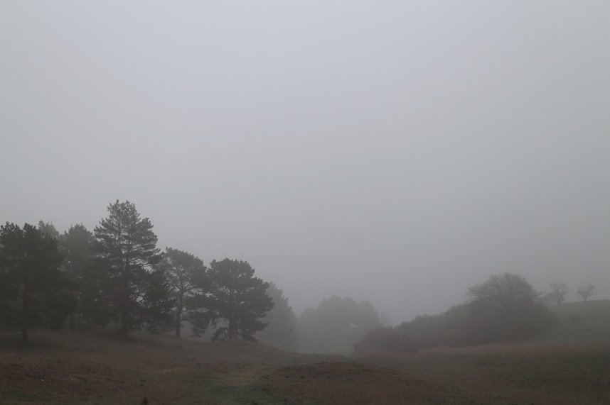 Fr&uuml;hjahrswanderung bei Auleben