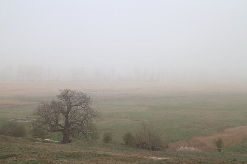 Fr&uuml;hjahrswanderung bei Auleben