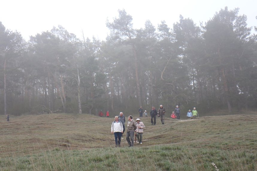 Fr&uuml;hjahrswanderung bei Auleben