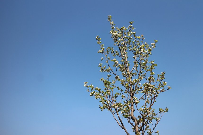 Fr&uuml;hjahrswanderung bei Auleben