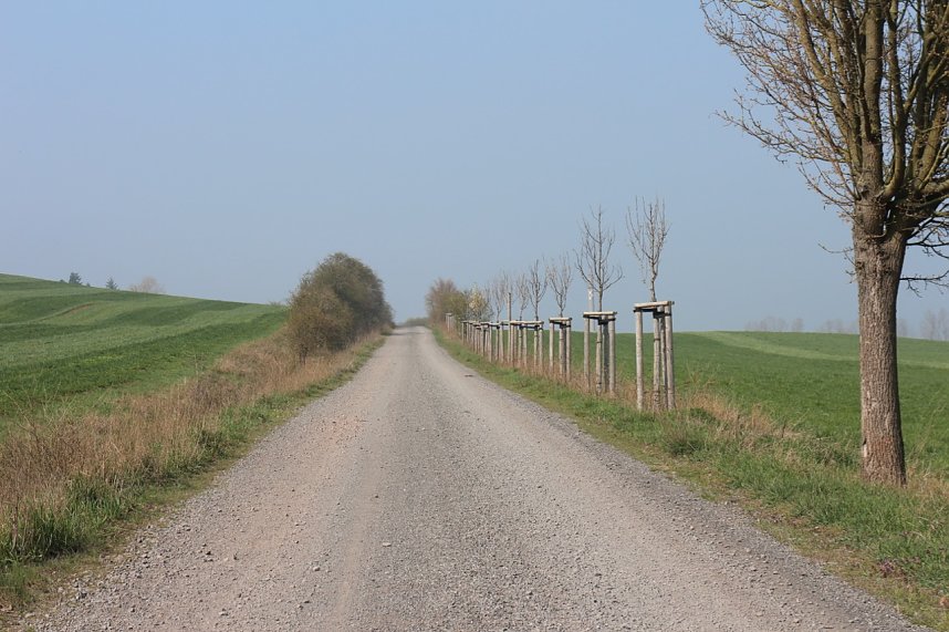 Fr&uuml;hjahrswanderung bei Auleben