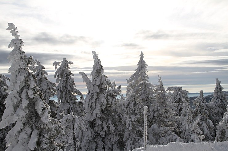 Heiligabend noch kurz auf den Brocken