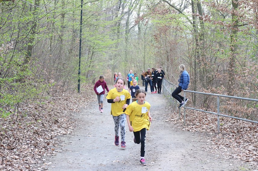 Fr&uuml;hjahrscrosslauf 2019