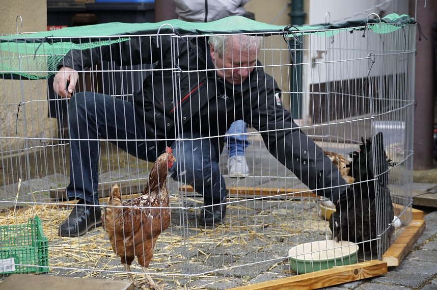 1. Echter Nordh&auml;user Ostermarkt