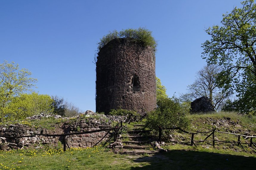 Ostereiersuche auf der Ebersburg