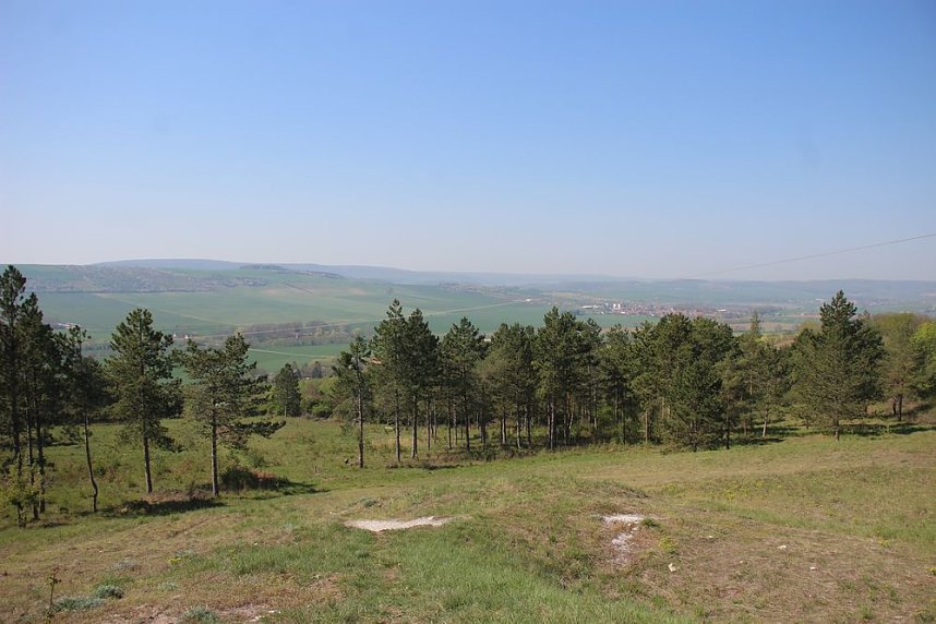 Gro&szlig;artiger MDR Osterspaziergang in Bad Frankenhausen
