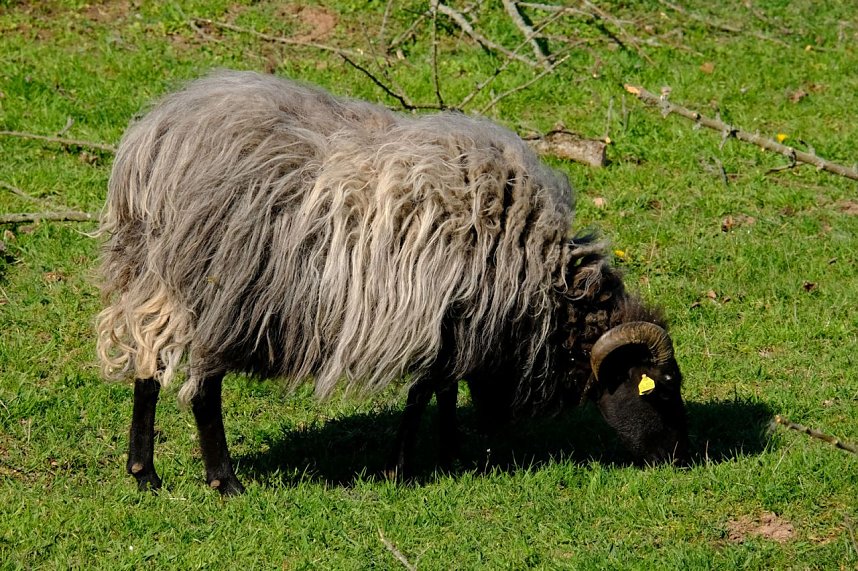 Ostern am Neust&auml;dter Gondelteich