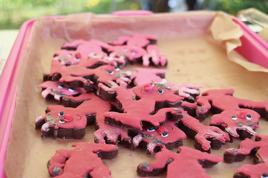 Walpurgis im S&uuml;dharz