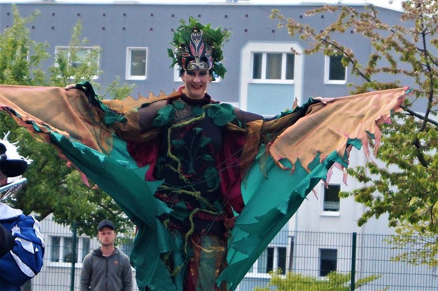 Autofr&uuml;hling 2019