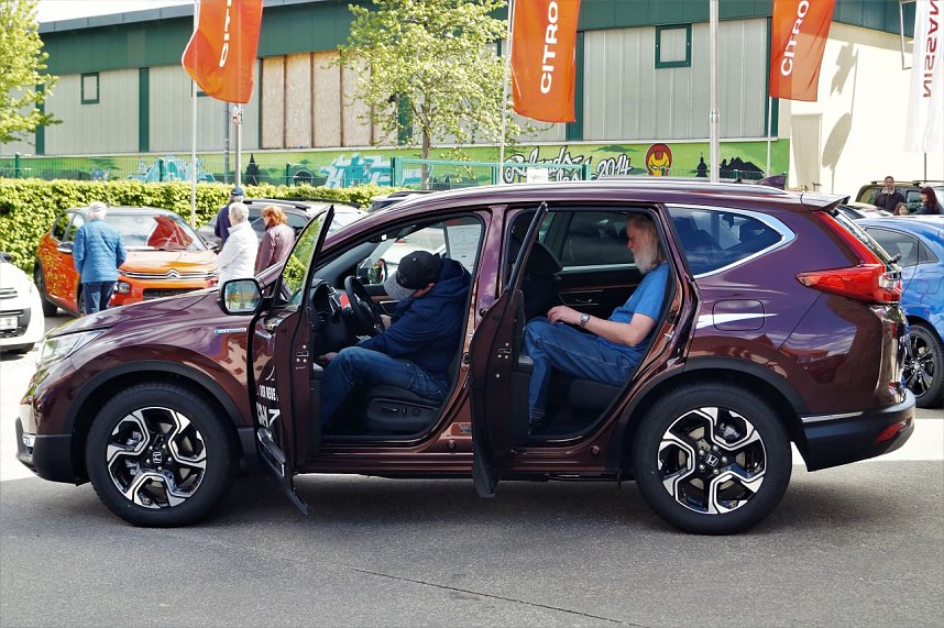 Autofr&uuml;hling 2019